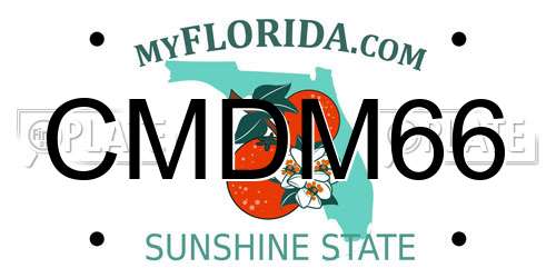 CMDM66 Florida License Plate