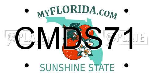 CMDS71 Florida License Plate