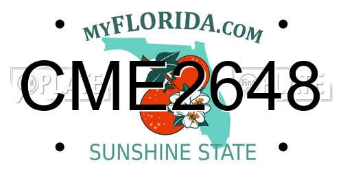 CME2648 Florida License Plate
