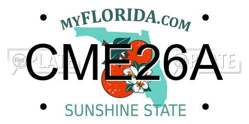 CME26A Florida License Plate