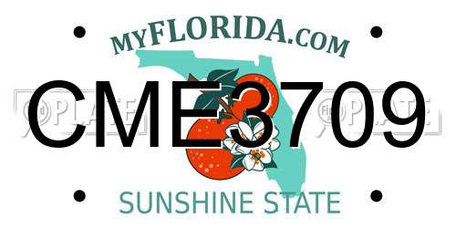 CME3709 Florida License Plate