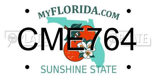 CME764 Florida License Plate