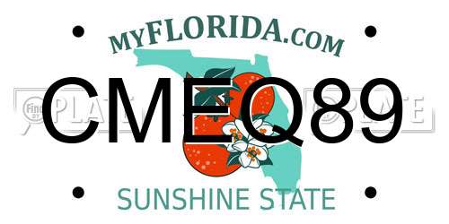 CMEQ89 Florida License Plate