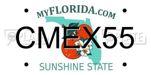 CMEX55 Florida License Plate