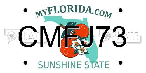 CMFJ73 Florida License Plate
