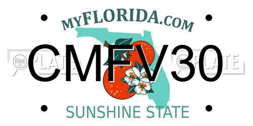 CMFV30 Florida License Plate