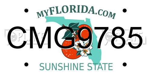 CMG9785 Florida License Plate