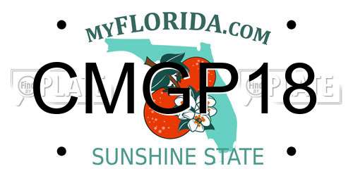 CMGP18 Florida License Plate