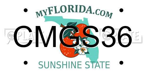 CMGS36 Florida License Plate