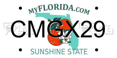 CMGX29 Florida License Plate