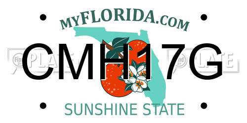 CMH17G Florida License Plate