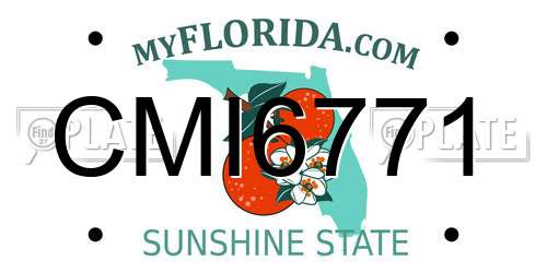 CMI6771 Florida License Plate