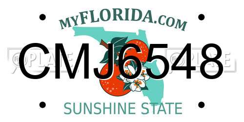 CMJ6548 Florida License Plate