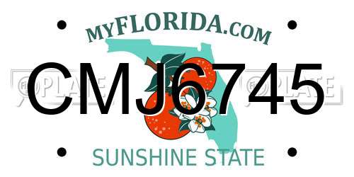 CMJ6745 Florida License Plate