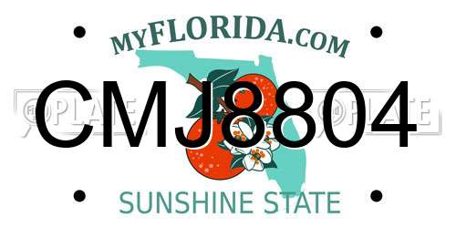 CMJ8804 Florida License Plate