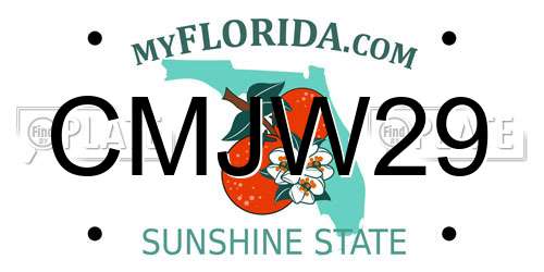 CMJW29 Florida License Plate