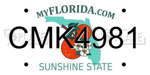 CMK4981 Florida License Plate
