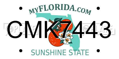 CMK7443 Florida License Plate