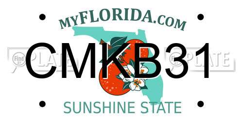 CMKB31 Florida License Plate