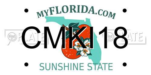 CMKI18 Florida License Plate