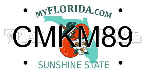 CMKM89 Florida License Plate