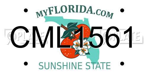 CML1561 Florida License Plate