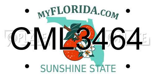 CML3464 Florida License Plate