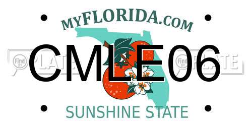 CMLE06 Florida License Plate