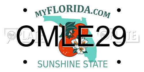 CMLE29 Florida License Plate