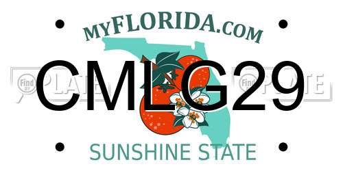 CMLG29 Florida License Plate