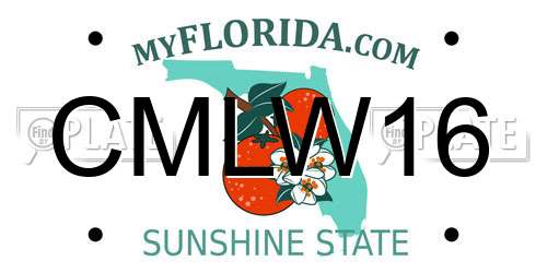 CMLW16 Florida License Plate