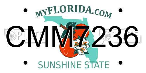 CMM7236 Florida License Plate