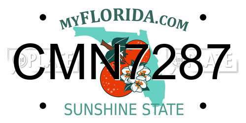 CMN7287 Florida License Plate