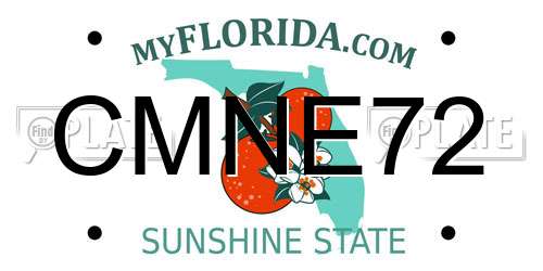 CMNE72 Florida License Plate