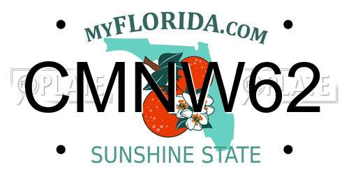 CMNW62 Florida License Plate