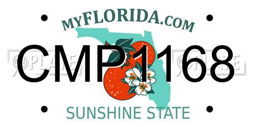 CMP1168 Florida License Plate