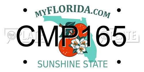 CMP165 Florida License Plate