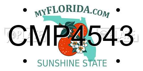 CMP4543 Florida License Plate