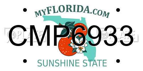 CMP6933 Florida License Plate