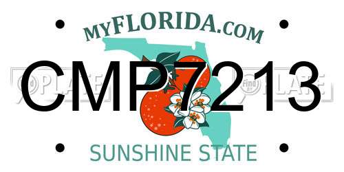 CMP7213 Florida License Plate