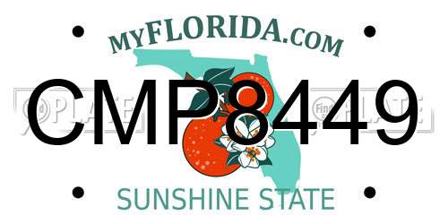 CMP8449 Florida License Plate