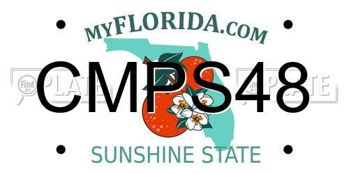 CMPS48 Florida License Plate