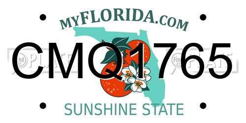 CMQ1765 Florida License Plate