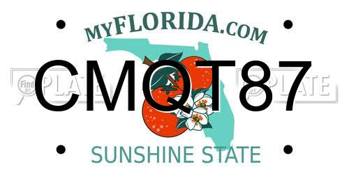 CMQT87 Florida License Plate