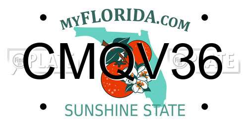 CMQV36 Florida License Plate