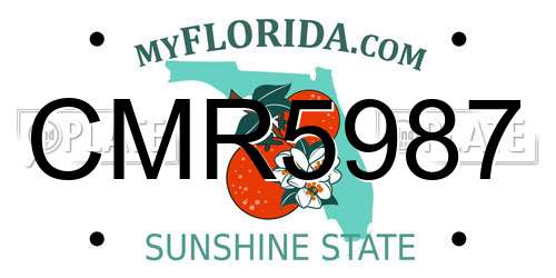 CMR5987 Florida License Plate