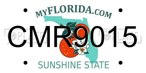 CMR9015 Florida License Plate