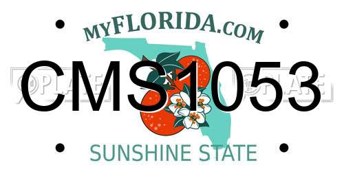 CMS1053 Florida License Plate