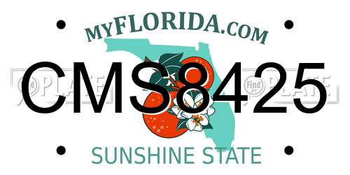 CMS8425 Florida License Plate