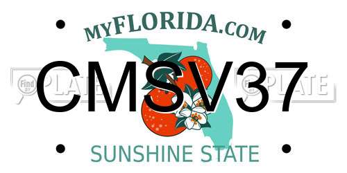 CMSV37 Florida License Plate